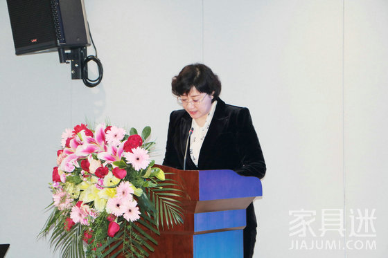 臨沂市工信局黨組書記、局長 王林艷