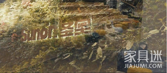 圣奧視頻截圖8