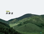 源氏木語攜新實木主義亮相深圳家具展，詮釋實木家居的六大革新維度
