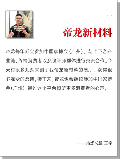 帝龍新材料10