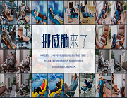 跨越5年的IMG挪威躺，一張舒適椅持續走紅的背后邏輯