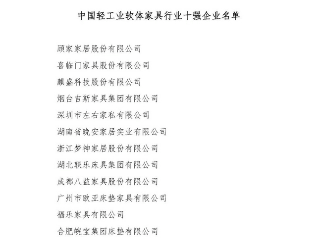 輕工業軟體家具行業十強企業名單13